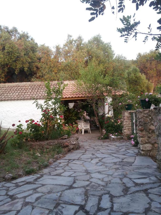 Вілла Casa El Cerro Ель-Боске Екстер'єр фото